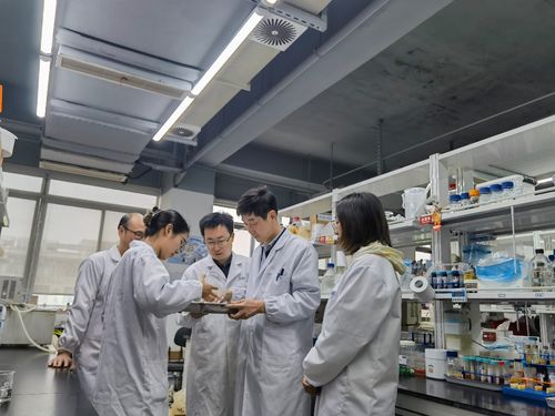 江南大学食品学院深化援疆合作，助力新疆食品科技产业升级